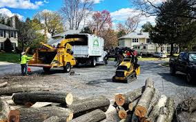 How Our Tree Care Process Works  in Holiday City South, NJ